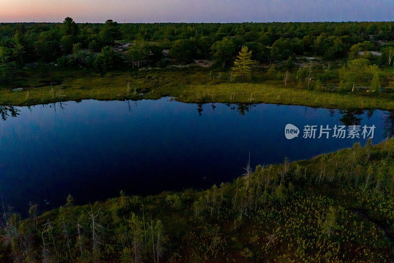 Muskoka Torrance Barrens暗天保护区和高地池塘，Gravenhurst，加拿大